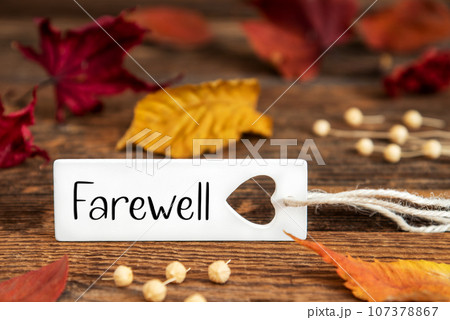 Autumn Background, Label with Farewell Autumn Background, Label with Farewell 107378867