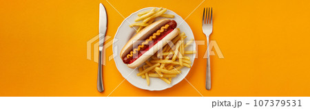 Traditional hot dog with french fries in plate on orange background. Restaurant menu 107379531