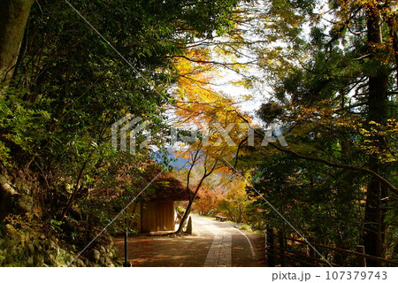 とがの木茶屋 とがの木茶屋 107379743