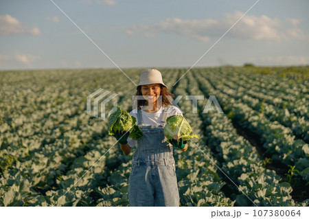 Smiling female farmer in uniform working in cabbage field during harvest. Agricultural activity  107380064