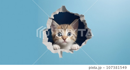 Cute Kitty peeking out of a hole in wall, torn hole, empty copy space frame, mockup. Generative AI weber. Cute Kitty peeking out of a hole in wall, torn hole, empty copy space frame, mockup. Generative AI weber. 107381549