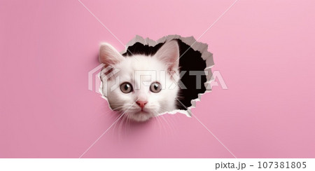 Cute Kitty peeking out of a hole in wall, torn hole, empty copy space frame, mockup. Generative AI weber. 107381805