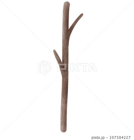 branch branch 107384227