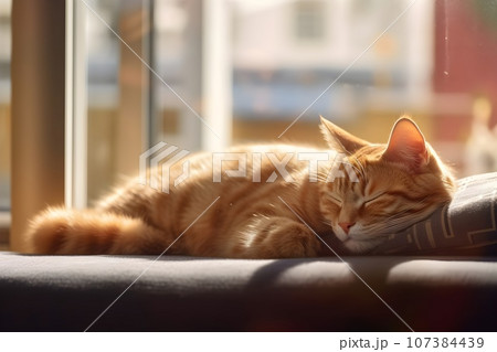 窓辺で気持ちよさそうに眠る猫7　AI生成画像 107384439