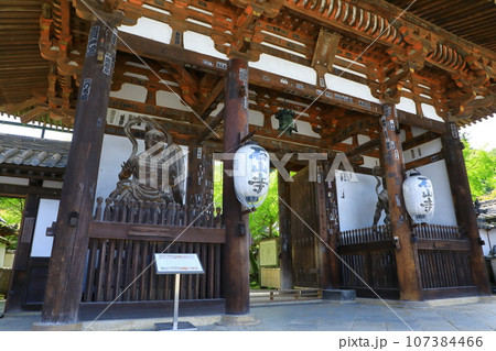 石山寺 東大門 石山寺 東大門 107384466