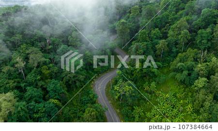Aerial top view of road in green tree forest, Top view from drone of rural road, mountains, forest. Beautiful landscape with roadway, Aerial view of road in the middle of the forest, Road curve on Aerial top view of road in green tree forest, Top view from drone of rural road, mountains, forest. Beautiful landscape with roadway, Aerial view of road in the middle of the forest, Road curve on 107384664