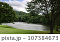 湖のある景色 107384673