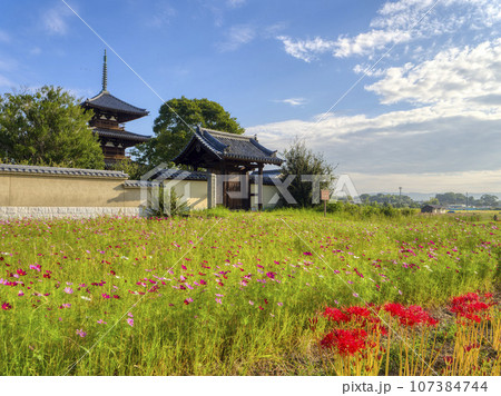 彼岸花と秋桜が咲く法起寺の風景 107384744