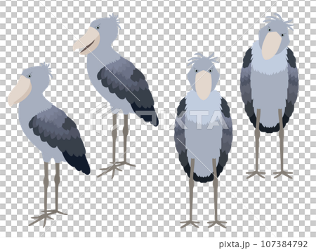 Shoebill material set ③ 107384792