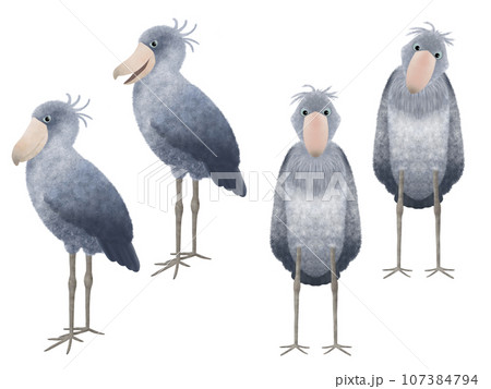 ハシビロコウの素材セット⑤ 107384794