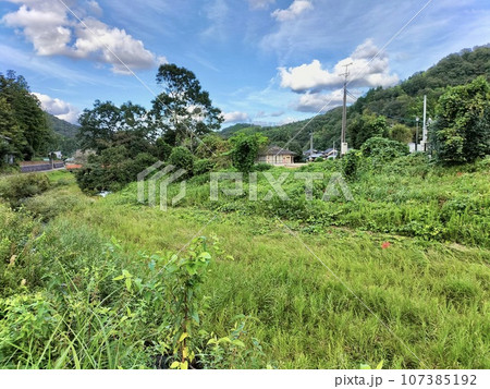 初秋の農村風景 初秋の農村風景 107385192