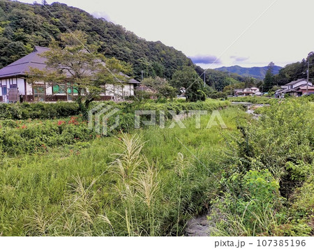 初秋の農村風景 107385196