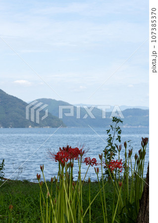湖畔の彼岸花 湖畔の彼岸花 107385370