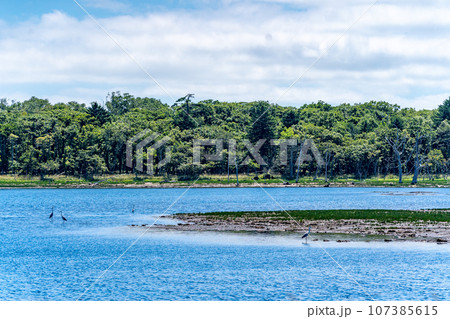 野付半島　地殻変動で100年後には消滅する恐れ　砂嘴　動物の楽園　野鳥 107385615
