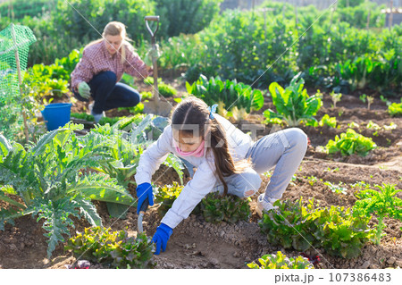 teenage girl with scoop caring for plants 107386483