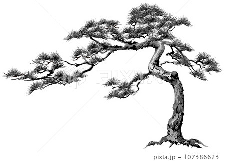松 老松 モノクロ 盆栽のイラスト素材 [107386623] - PIXTA