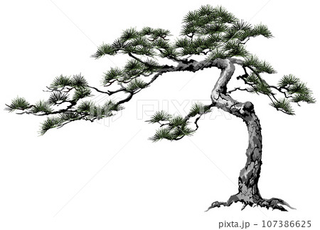 松 老松 墨絵 盆栽のイラスト素材 [107386625] - PIXTA