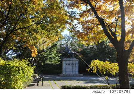 Public figure stature of ancient traditional Korean soldier warrior riding a horse in the old war in Namsam Park Mountain morning in Autumn foliage Public figure stature of ancient traditional Korean soldier warrior riding a horse in the old war in Namsam Park Mountain morning in Autumn foliage 107387792