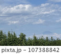 富士山4 107388842