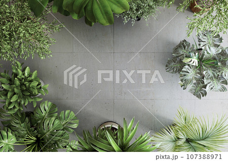 観葉植物と床の背景 107388971
