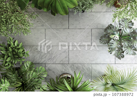 観葉植物と床の背景 107388972