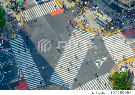 東京 渋谷スクランブル交差点 2023夏 東京 渋谷スクランブル交差点 2023夏 107389064