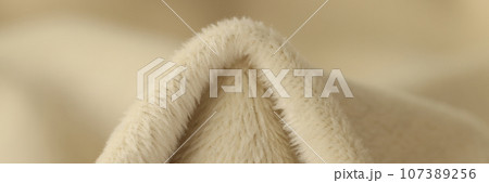 Crumpled beige terry cloth with short fur in fabric store Crumpled beige terry cloth with short fur in fabric store 107389256