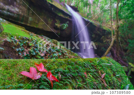 Waterfall at Phu Kradueng national park, Loei Thailand, beautiful landscape of waterfalls in rainforest Waterfall at Phu Kradueng national park, Loei Thailand, beautiful landscape of waterfalls in rainforest 107389580