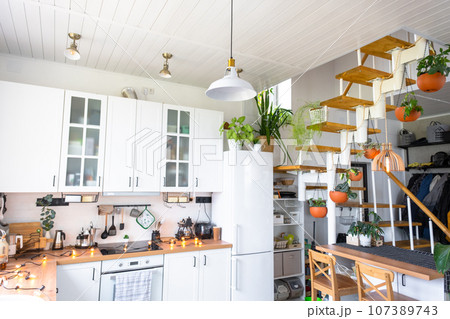 The general plan of a light white modern rustic kitchen with a modular metal staircase decorated with potted plants. Interior of a house with homeplants 107389743