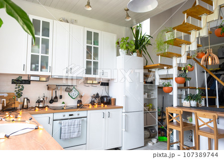 The general plan of a light white modern rustic kitchen with a modular metal staircase decorated with potted plants. Interior of a house with homeplants The general plan of a light white modern rustic kitchen with a modular metal staircase decorated with potted plants. Interior of a house with homeplants 107389744