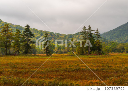 尾瀬ヶ原の紅葉 107389792