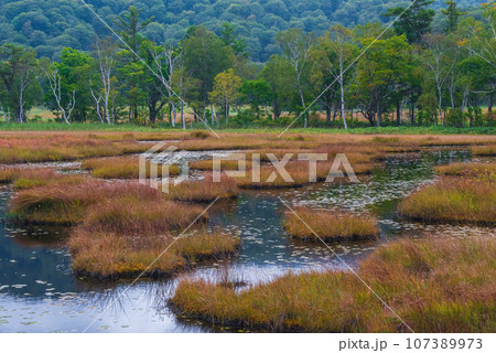 尾瀬ヶ原の紅葉と池糖 尾瀬ヶ原の紅葉と池糖 107389973