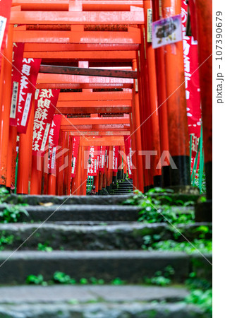 【神奈川県】鎌倉にある朱色の鳥居が有名な佐助稲荷神社 107390679