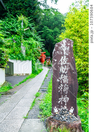 【神奈川県】鎌倉にある朱色の鳥居が有名な佐助稲荷神社 107390684
