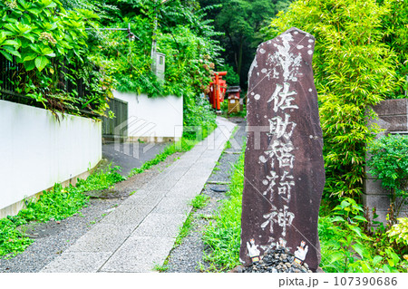 【神奈川県】鎌倉にある朱色の鳥居が有名な佐助稲荷神社 107390686