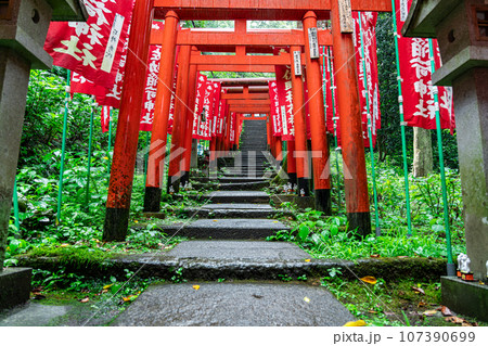 【神奈川県】鎌倉にある朱色の鳥居が有名な佐助稲荷神社 107390699