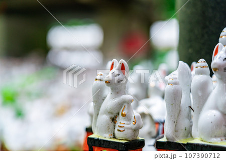 【神奈川県】鎌倉にあるたくさんの白狐が有名な佐助稲荷神社 107390712