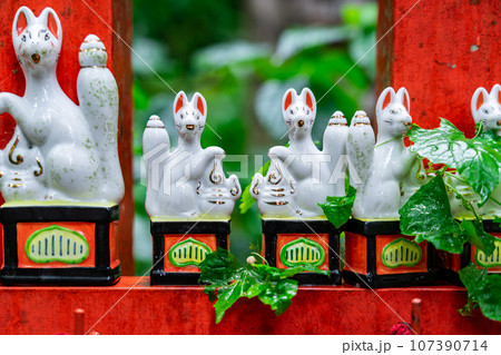 【神奈川県】鎌倉にあるたくさんの白狐が有名な佐助稲荷神社 107390714