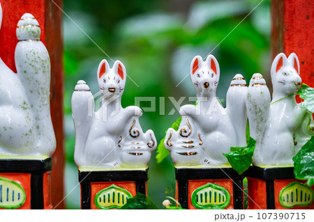【神奈川県】鎌倉にあるたくさんの白狐が有名な佐助稲荷神社 107390715