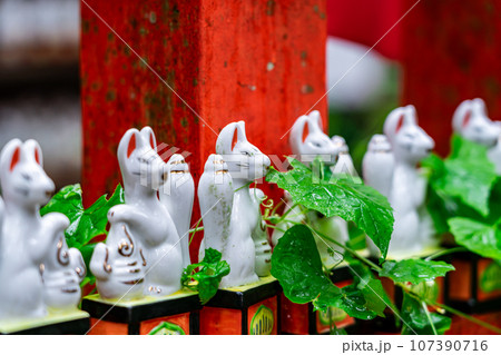 【神奈川県】鎌倉にあるたくさんの白狐が有名な佐助稲荷神社 107390716