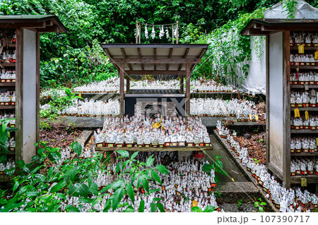 【神奈川県】鎌倉にあるたくさんの白狐が有名な佐助稲荷神社 107390717