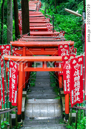 【神奈川県】鎌倉にある朱色の鳥居が有名な佐助稲荷神社 107390719