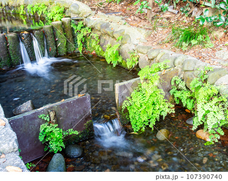 夏の爽やかな景色　スローシャッターで撮る清らかな湧水の流れ 107390740