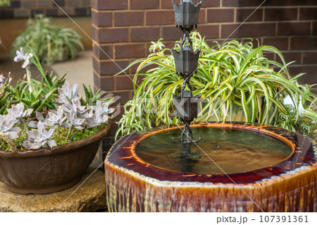 雨水がつたう鎖樋 107391361