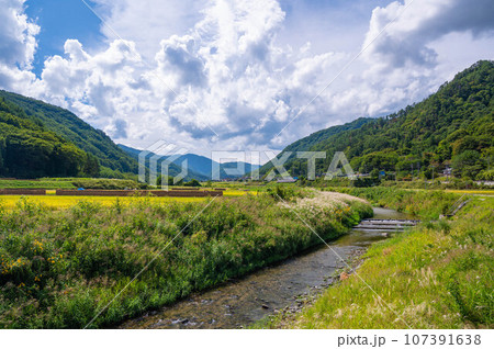 初秋の田園風景に流れる内村川 上田市 初秋の田園風景に流れる内村川 上田市 107391638