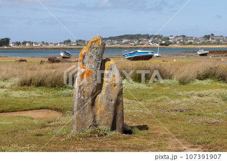 Menhir of Toeno - megalithic monument - lonely menhir on the coast at Trebeurden in Brittany Menhir of Toeno - megalithic monument - lonely menhir on the coast at Trebeurden in Brittany 107391907