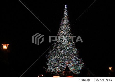 夜に輝くクリスマスツリー 夜に輝くクリスマスツリー 107391943