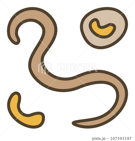 Bacterium and Viruses vector concept colored modern icon or symbol Bacterium and Viruses vector concept colored modern icon or symbol 107393197