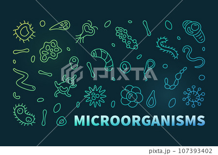 Microorganisms vector Micro Organisms concept linear colored horizontal banner. Microorganism illustration in line style Microorganisms vector Micro Organisms concept linear colored horizontal banner. Microorganism illustration in line style 107393402