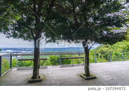 伊勢志摩国立公園　英虞湾　横山展望台　早朝 107394872